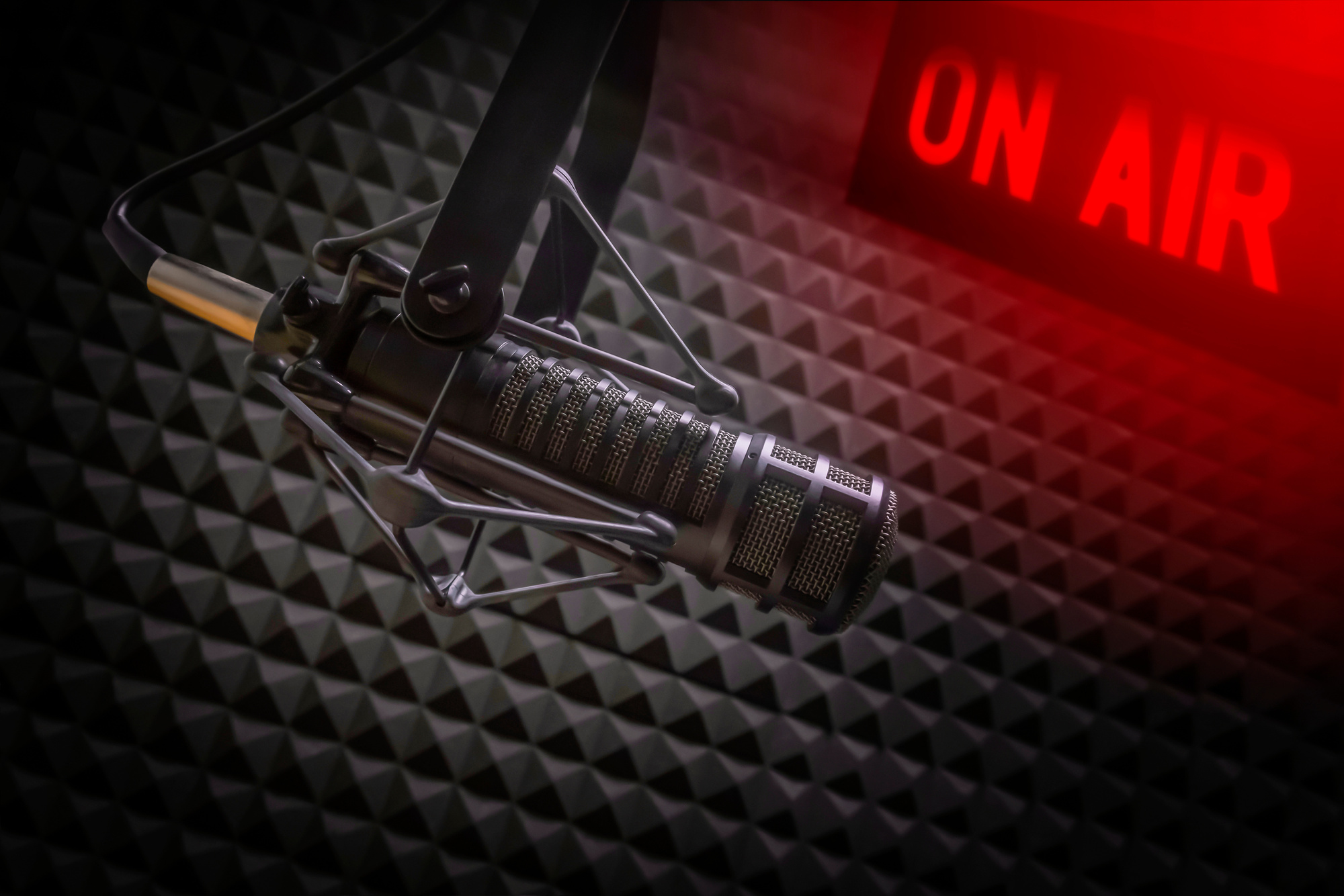 Professional microphone in radio station studio
